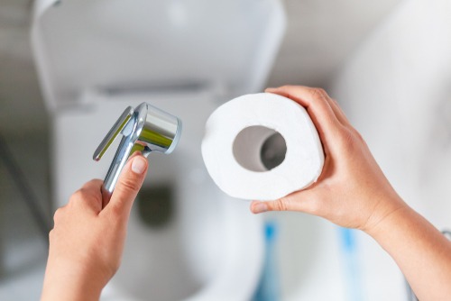 hands holding a roll of toilet paper in the right hand and a bidet in the left hand help over a white toilet