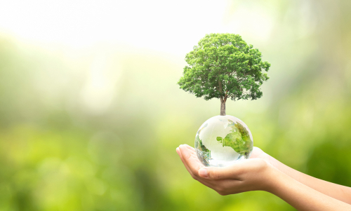 hand holding a clear glass globe with a small tree growing from it. background of blurred green trees.